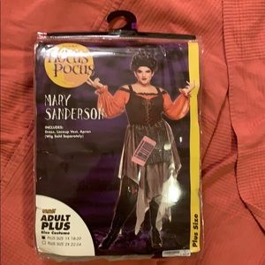 Plus Size Hocus Pocus Halloween Costume!